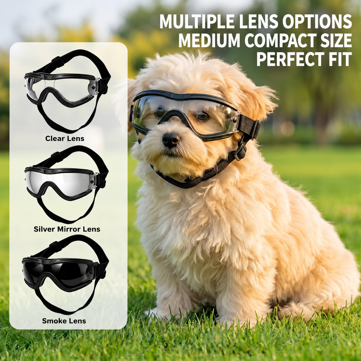 Sunglass Retainer Cord - Hondenbril voor kleine en middelgrote honden