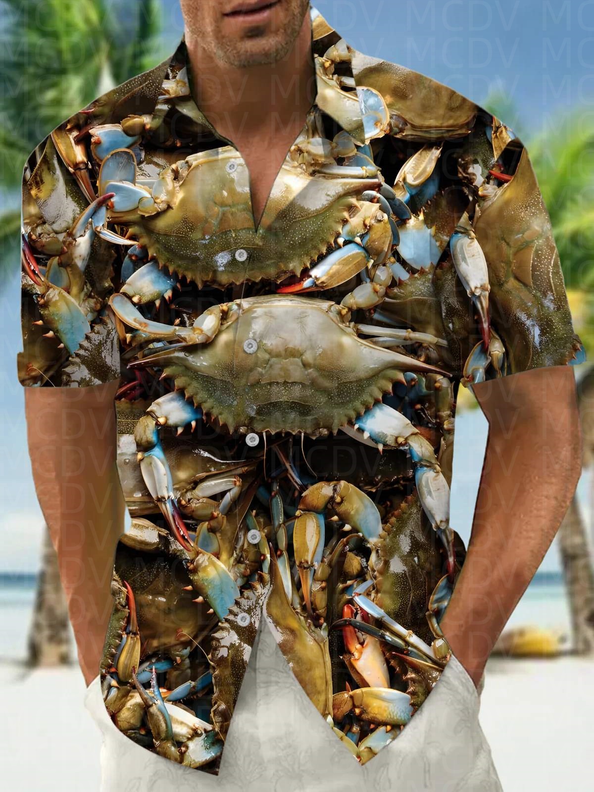 Food Pattern Hawaiiaans overhe - Shirt Camp Collar recensie en prijs