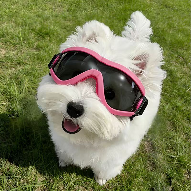 Hondenbril voor kleine en midd - Sunglass Retainer Cord recensie en prijs